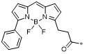 BODIPY R6G化学结构